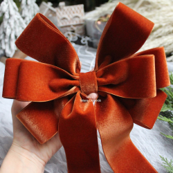 Noeuds papillon velours...