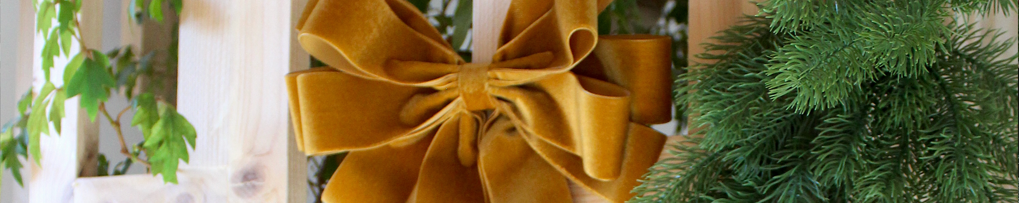Large velvet bows